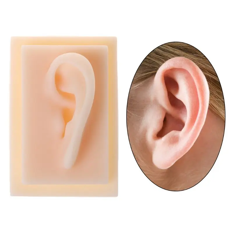 

Human Soft Silicone Left Ear Model Life Size Acupuncture Study Practice Tool Teaching Resources For Medical Science Y98A