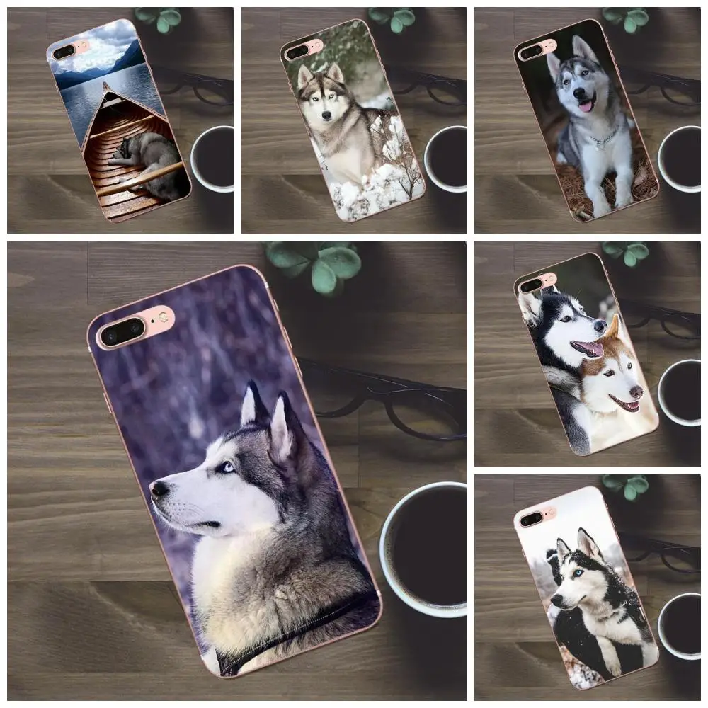Мягкий чехол для Huawei G8 Honor 5C 5X 6 6X 7 8 9 Y5II Mate P7 P8 P9 P10 P20 Lite Plus 2017 с изображением щенков