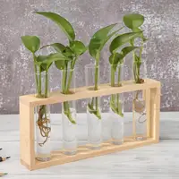 Jarrón de cristal transparente marco de madera arte del hierro bonsái para terrario adornos de mesa