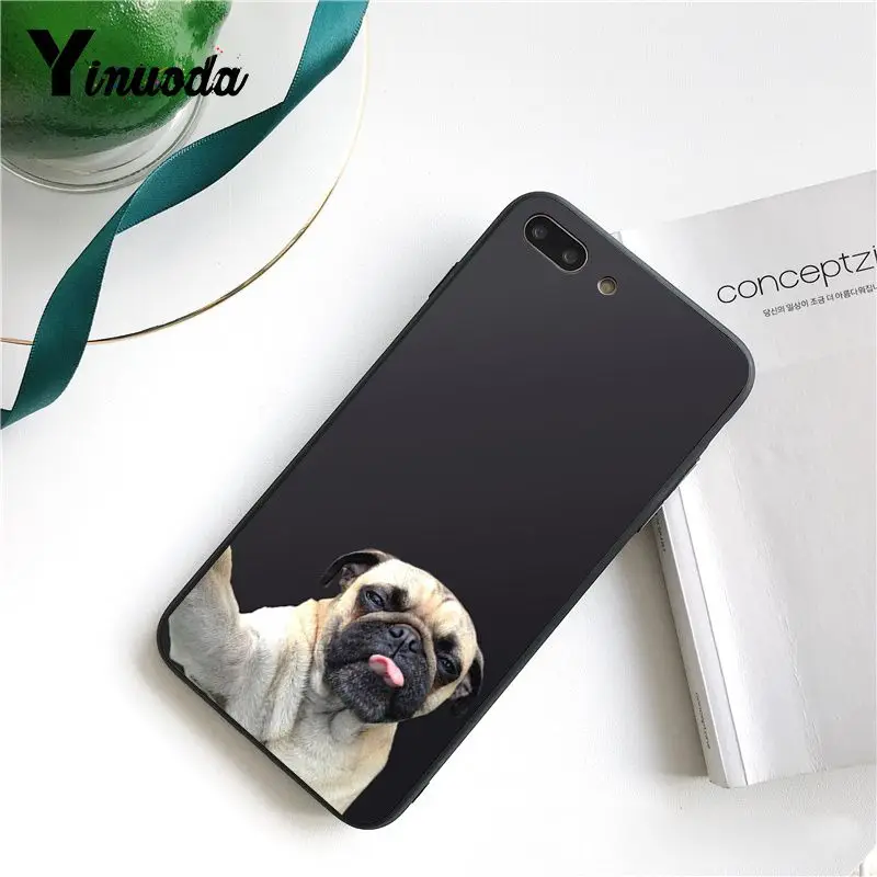 Cute  French Bulldog cartoon dog and cat