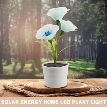 

Living Room Home Desktop Waterproof Luminous Potted Orchid Shape LED Plant Light Solar Energy Office Landscape Night Lamp Bonsai
