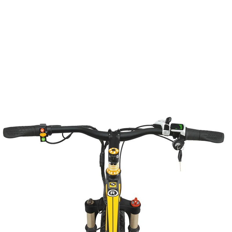 1000W Fat Electric Bike 48V Mens Mountain E bike 21 Speeds 26 inch Fat Tire Road Bicycle Snow Bike 16AH Lithium Battery