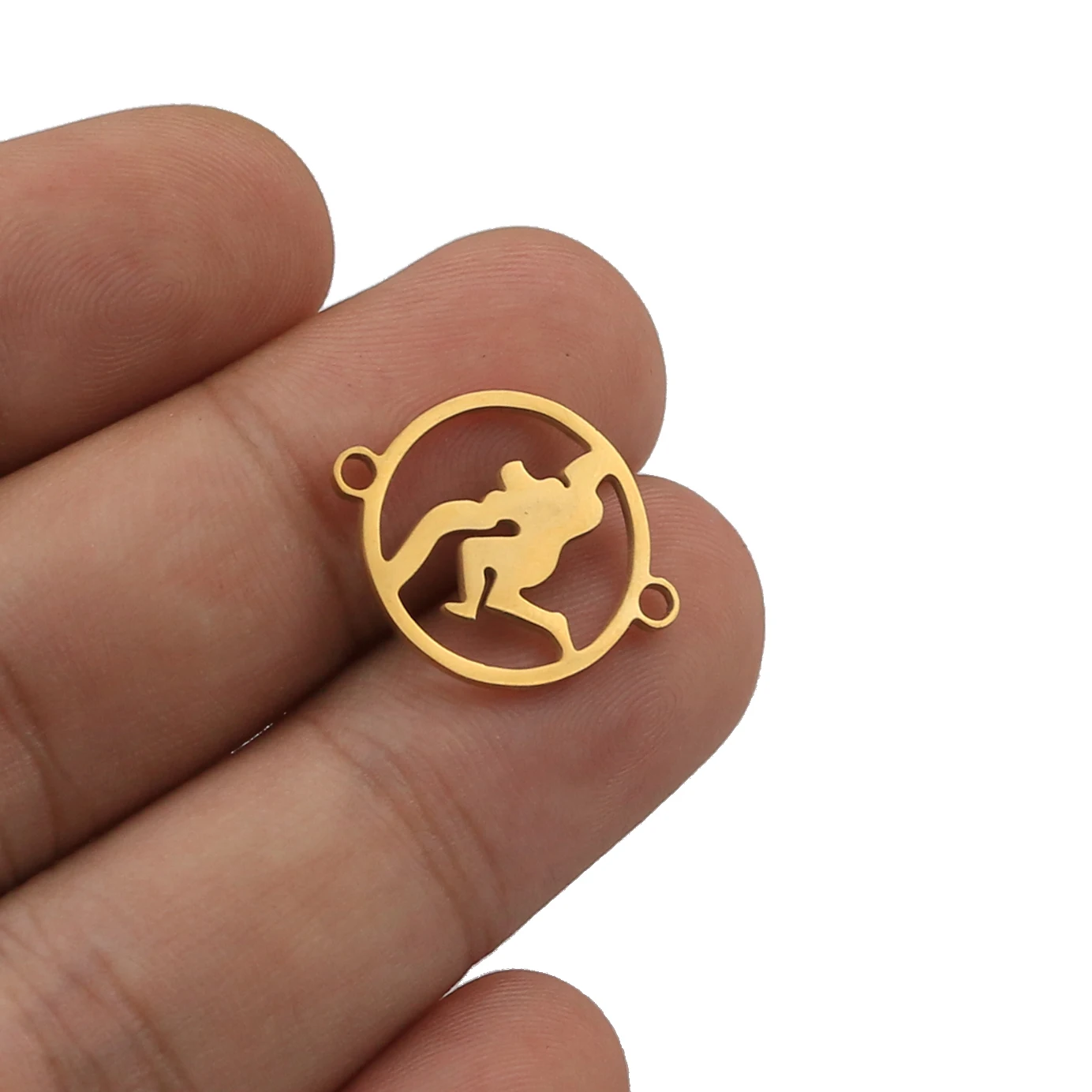 Gold aquarius 5 шт./лот из нержавеющей стали 12 созвездий Подвески подходят шарм для соединения браслета браслет ожерелье для ювелирные украшения сделай сам изготовление - Цвет: Gold aquarius