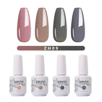 ZH09