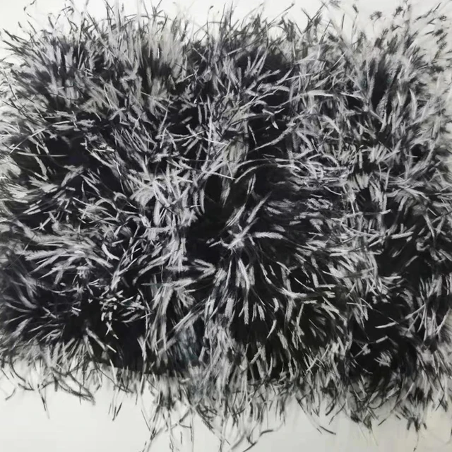Image 27