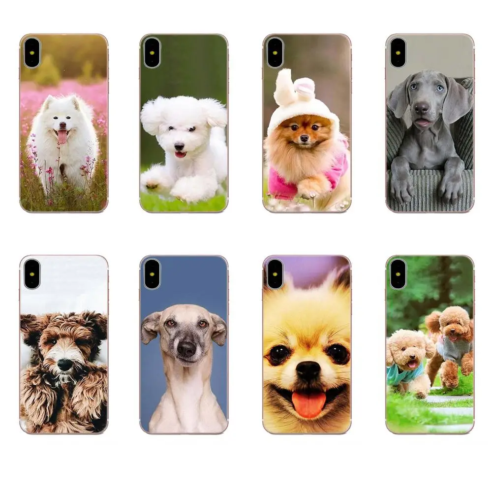 Чехол из ТПУ с рисунком розовой самоидовой Померанской собаки для HTC Desire 530 626 628 630