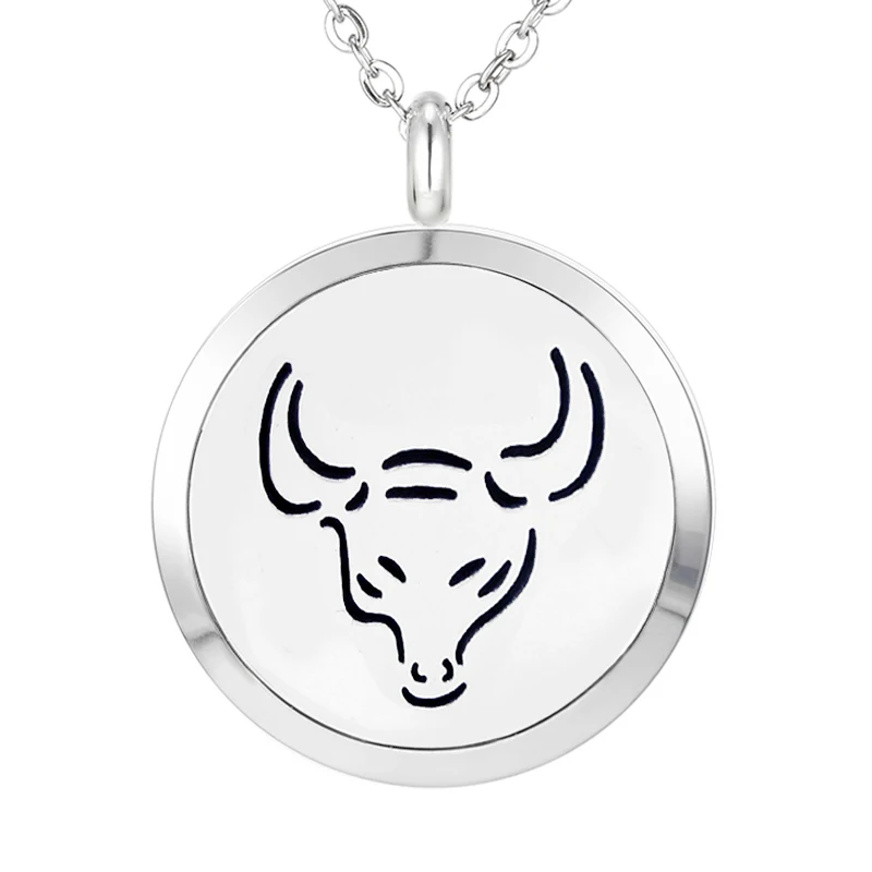 419 Essential Oil Diffuser Locket Pendant Necklace