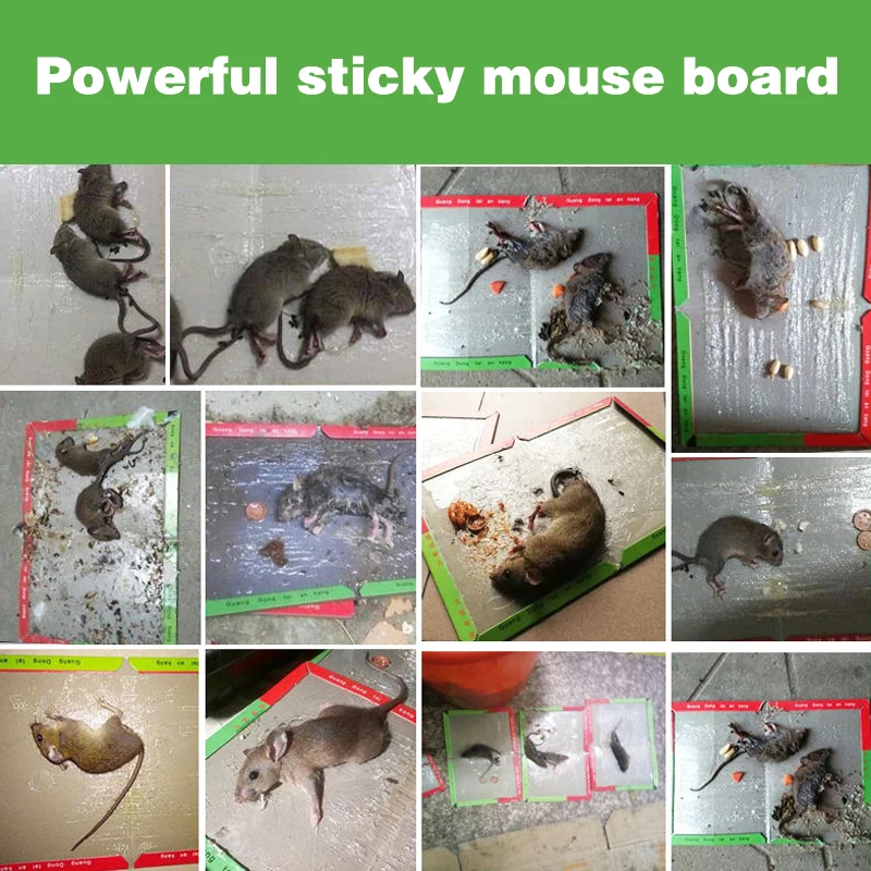 O1CN01LzyIyK2JYp0888OLp_!!2301359434