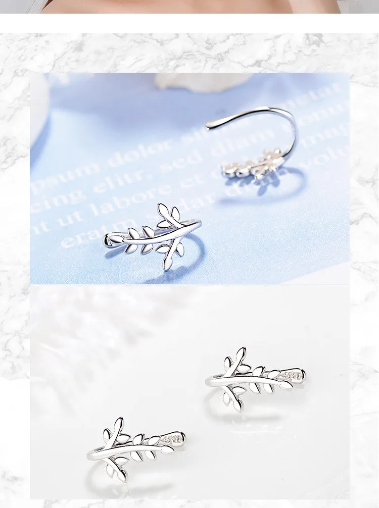 10528286444_19612025