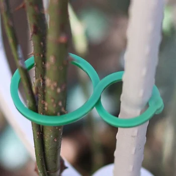 

Plants Bundled Lashing Hook Garden Accessories Fixed Vegetable Strapping Of fruit Vines for Garden Tree Climbing Support PI669