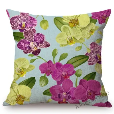 conew_n357 (27) 副本