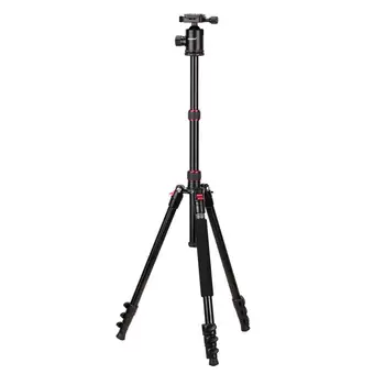 

Neewer Phone Tripod, Cell Phone Tripod 54 inch Travel Tripod Stand with Remote, Cellphone Mount Holder and 3-way Pan Head