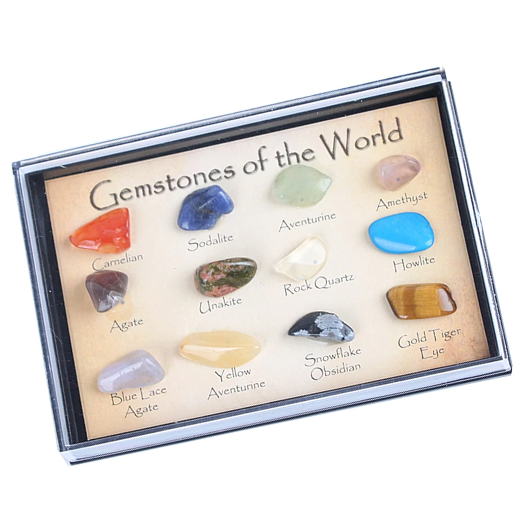 Kids Earth Science Toy Ro & Mineral Collection (15pcs) In A Display Case