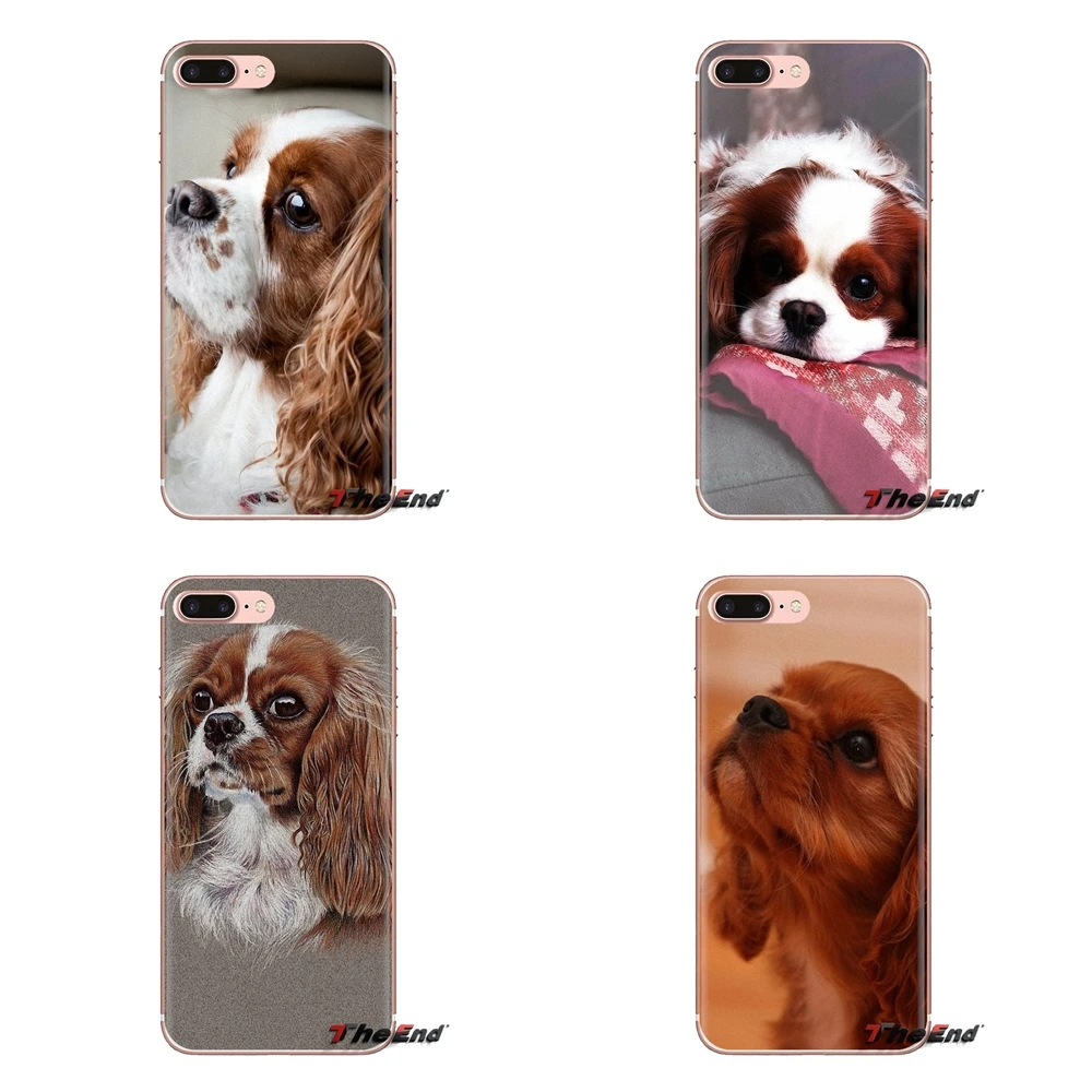 Для iPod Touch Apple iPhone 4 4s 5 5S SE 5C 6 6S 7 8 X XR XS Plus MAX кавалер король собака спаниеля щенок