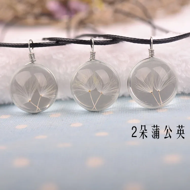 3546815590_761238940 - 副本