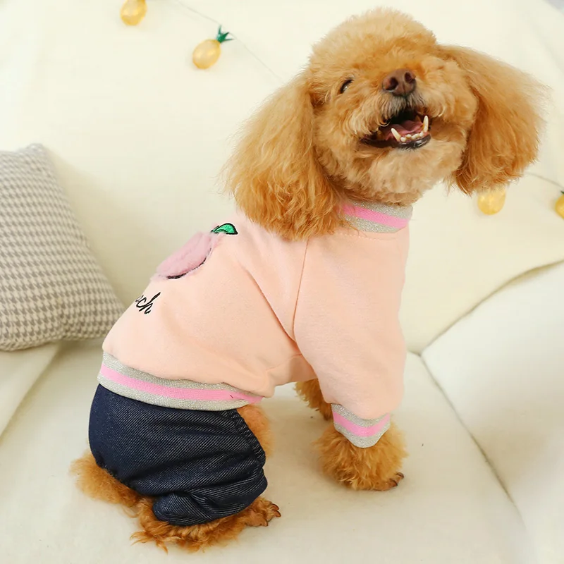 毛桃三文鱼四脚衣4