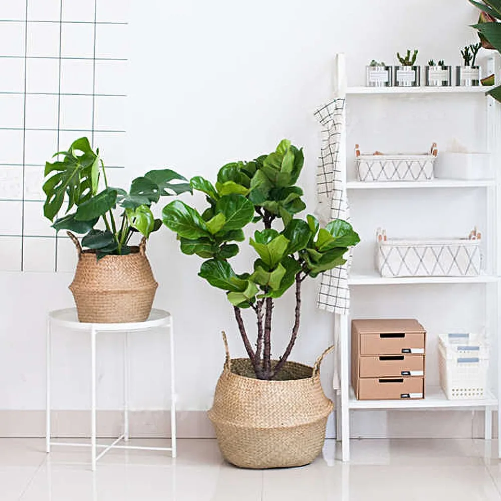 ab3cb1cf2dcf65b7959b49b388a14282