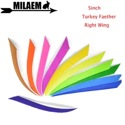 Pluma de pavo para tiro con arco, pluma de ala derecha para Flecha de bambú de madera de carbono, accesorios de flecha de caza, 100 piezas, 5 pulgadas