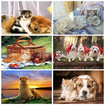 

EverShine DIY painting by numbers Dog Handmade Art Gift oil paint by numbers Animals canvas wall set Home decor