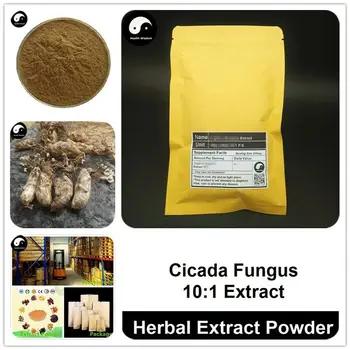 

Cicada Fungus Extract Powder, Ophiocordyceps Sobolifera P.E. 10:1, Jin Chan Hua