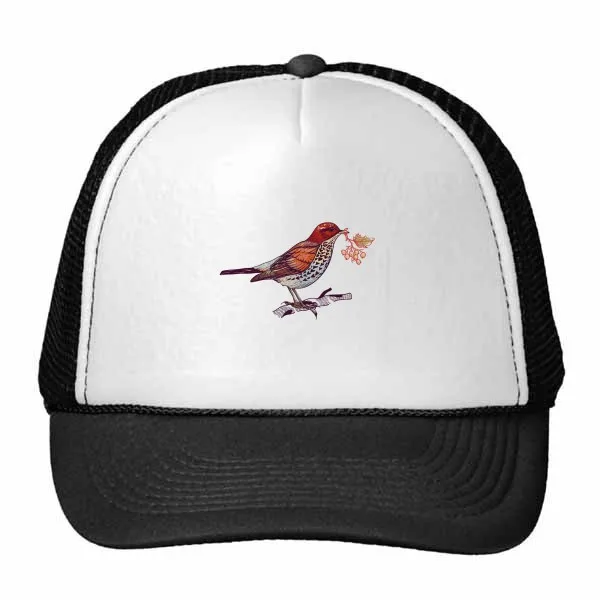 

Birds Branch Flowers Fruit Trucker Hat Baseball Cap Nylon Mesh Hat Cool Children Hat Adjustable Cap Gift