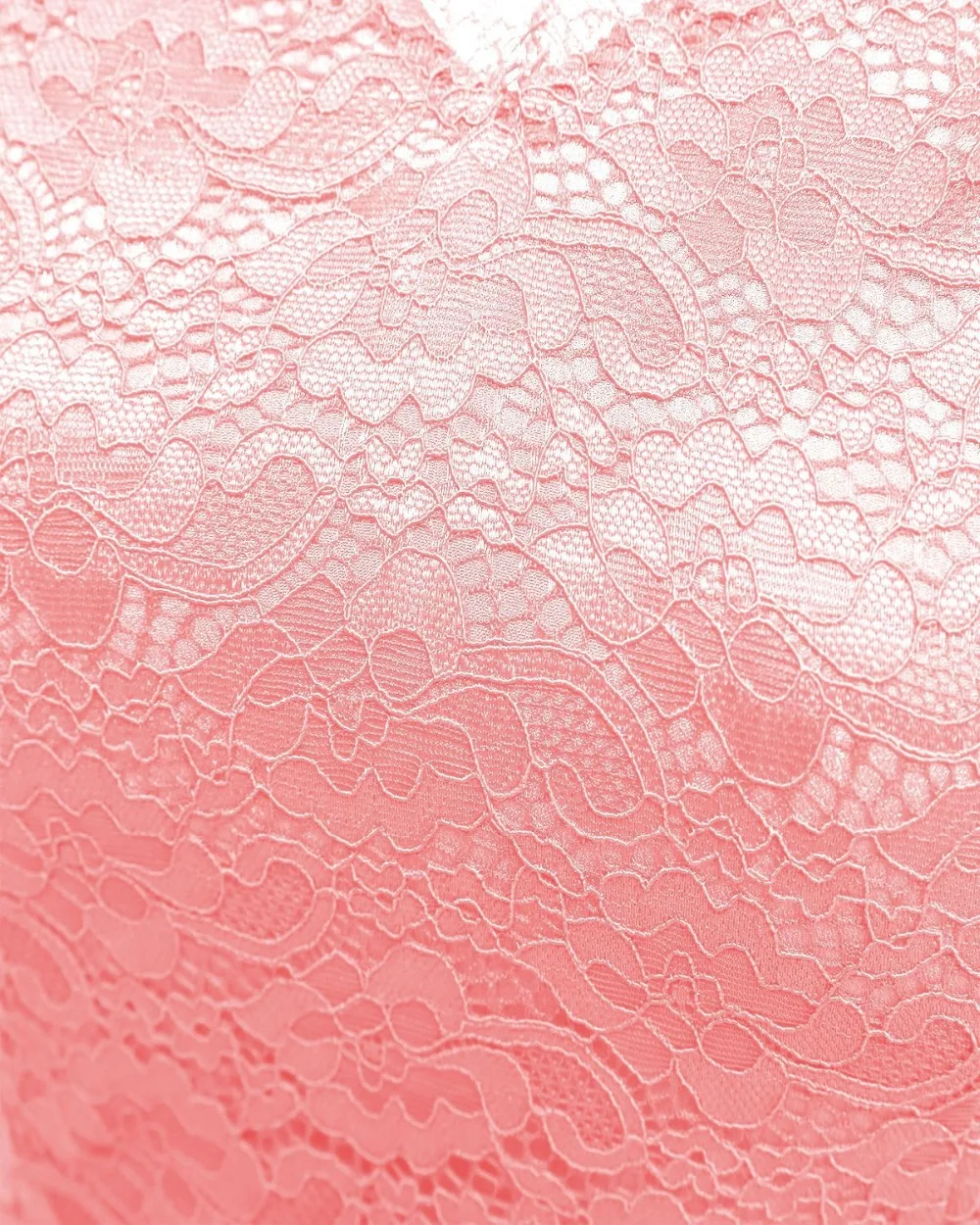 8728969986_634590860