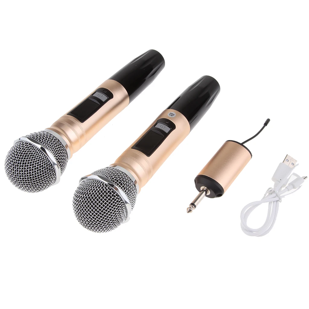2 Channel Dual Handheld Cordless Microphone Mic System Set for Home Party KTV Wedding