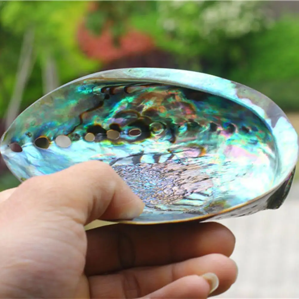 Abalone ракушка благовония горелка натуральный синий размазывание оболочки благовоний держатель конусы для очищения исцеления снятие стресса домашний декор