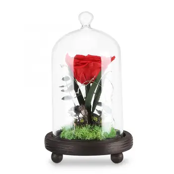 

Preserved Rose Flower LED Light with Glass Cover & Wooden Base Valentines'Day Wedding Gift Rose With Night Light in Glass Flower