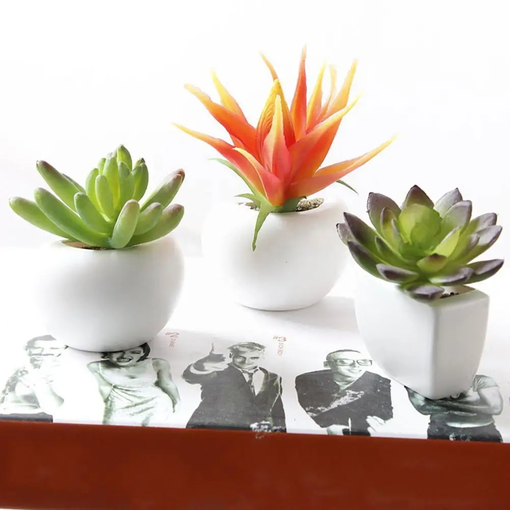 Какие цветы продают в магните. Магнит растения в горшках. Цветочный горшок на магните. Горшок для цветов на магните. Цветы в магните в горшках