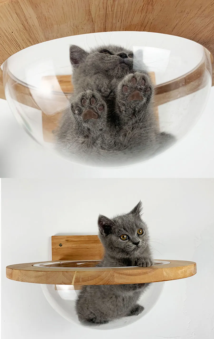 Космическая капсула, подстилка для домашних животных, прозрачное окно, кошка, деревянный дом для кошек, дерево, настенный дом, деревянная рамка для скалолазания, мост для котят