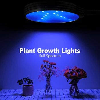 

3 Heads Led Full Spectrum Grow Light USB Led Growing Tent Plant Light 2835 Waterproof Phyto Led Bulb 5V Indoor Flower Seeds Lamp