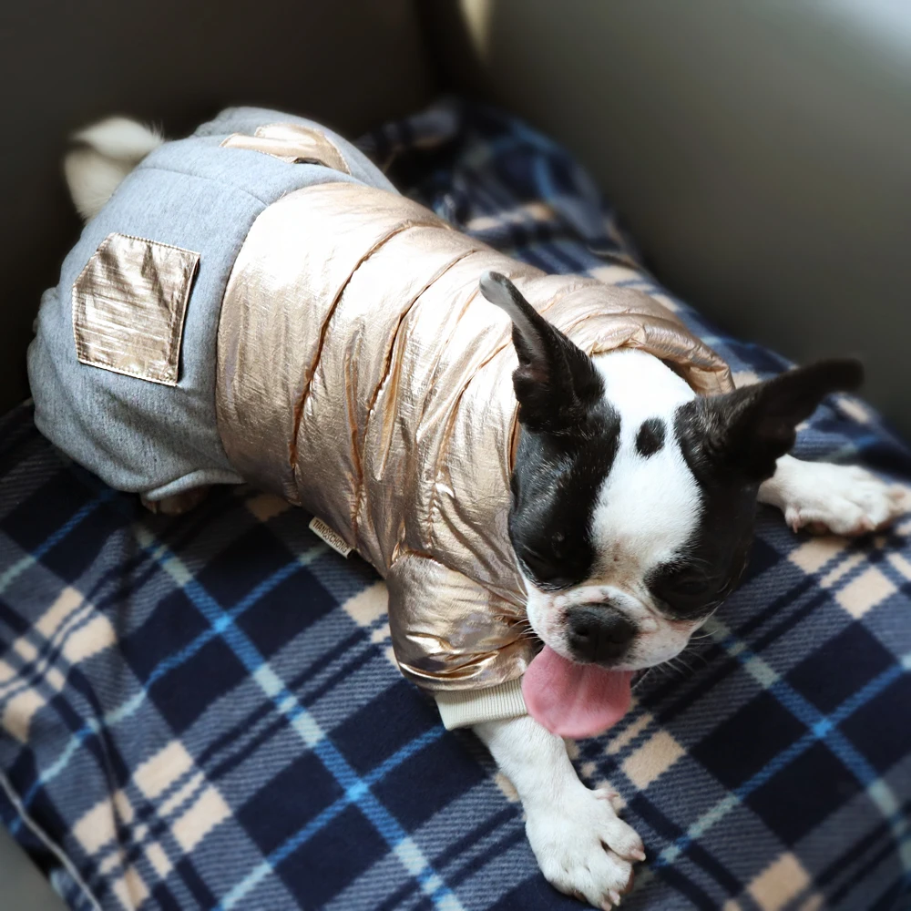 Одежда для маленькой собаки панель в форме французского бульдога пальто наряд Одежда для щенков зимние собаки Костюмы для небольших для собак породы Йоркширский терьер цвета: золотистый, серебристый