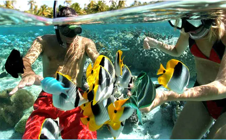 Snorkeling Full Dry Breathing Tube Submersible Equipment Diving Mask Superficial Snorkeling Equipment SB03