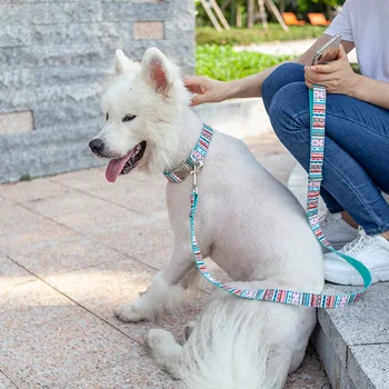 

Aapet 1set Dog Collar Leash Set For Dog Cat Traction Rope Puppy Pulling Cable Safety Training Leash Dog Leash Pet Pulling Rope