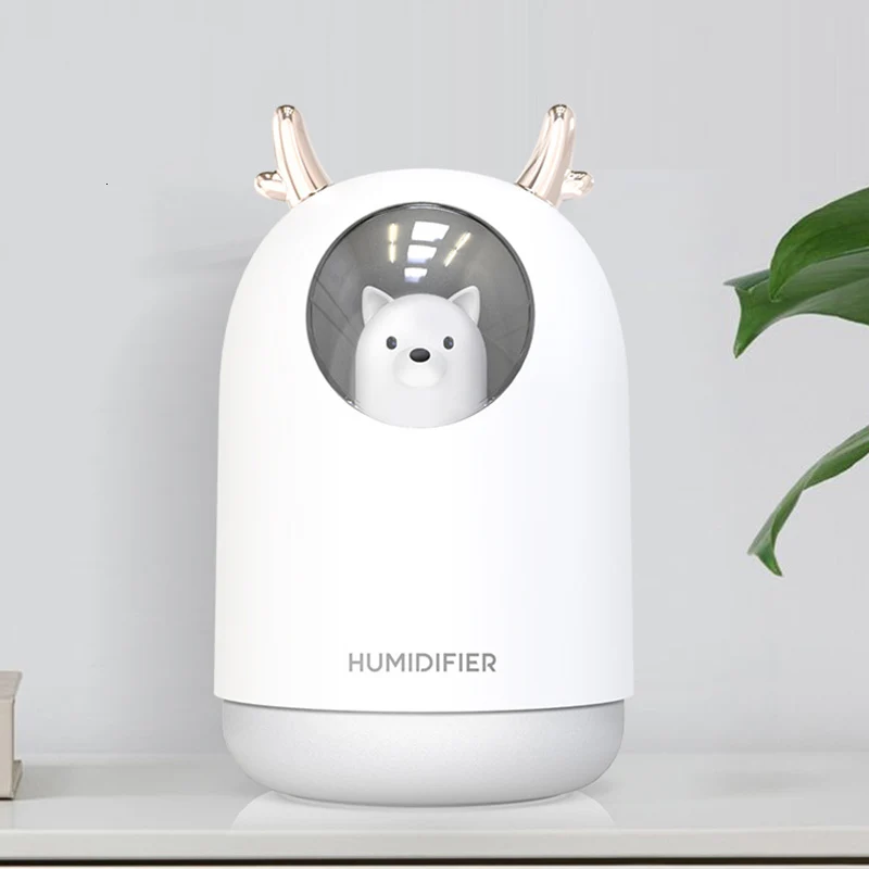 11652976734_2039891578