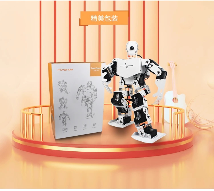 raspberry pi humanoid