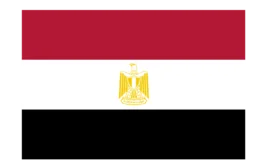 

15PCS Flag 90*150cm/60*90cm/40*60cm/15*21cm Egipto Flag Egipto Banner For World Cup / National Day