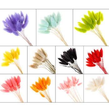 

20pcs Festive Party Supplies Colorful Natural Rabbit Tail Grass Dried Flower Decoration Dried Flowers Wedding Decor Bouquet