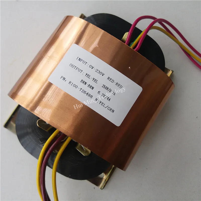 250V 0.3A 6.3V 4A R Nucleo Del Trasformatore 100Va R100 Personalizzato Trasformatore 230V Input Schermatura In Rame Amplificatore Di Potenza