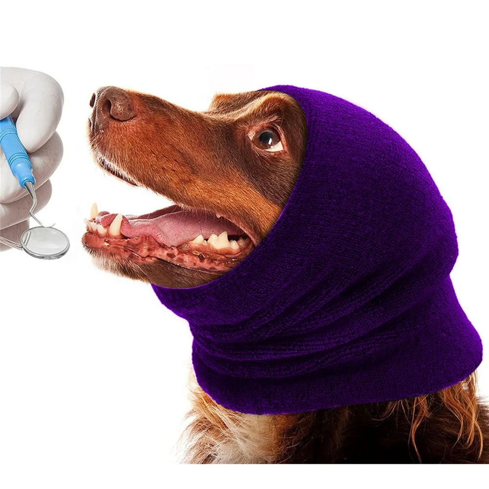 How Do Groomers Keep Dogs Calm