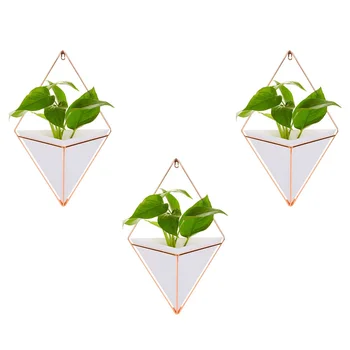 

3pcs Creative Acrylic Plant Hanger Basket Delicate Home Decor Hanging Basket Succulent Flowerpot for Home Bedroom Living Room (R