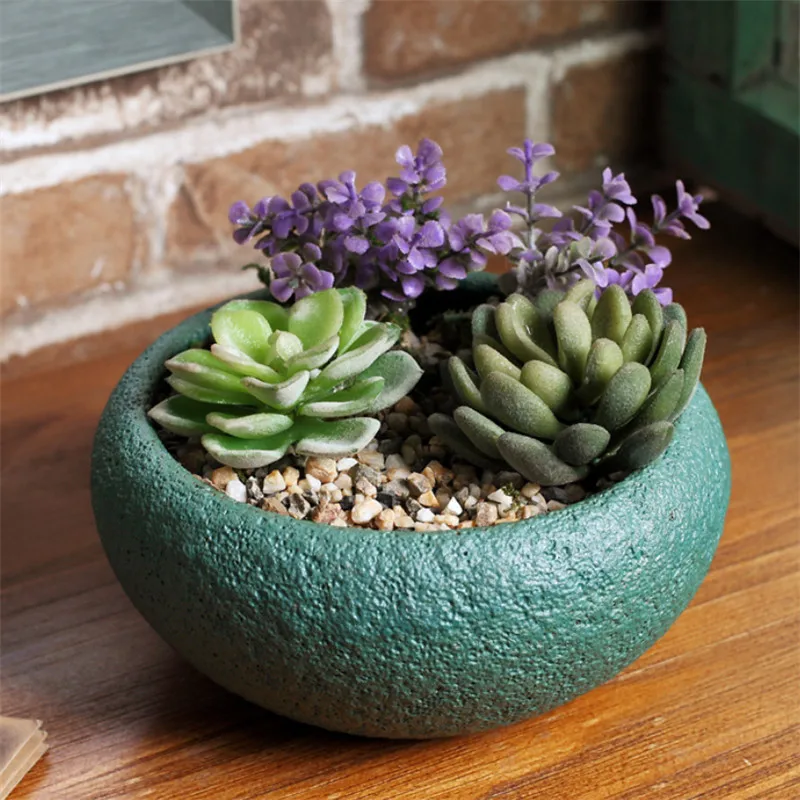 Jingdezhen      Ʈ Succulents Ĺ  繫  ȭ    Ȩ ׸