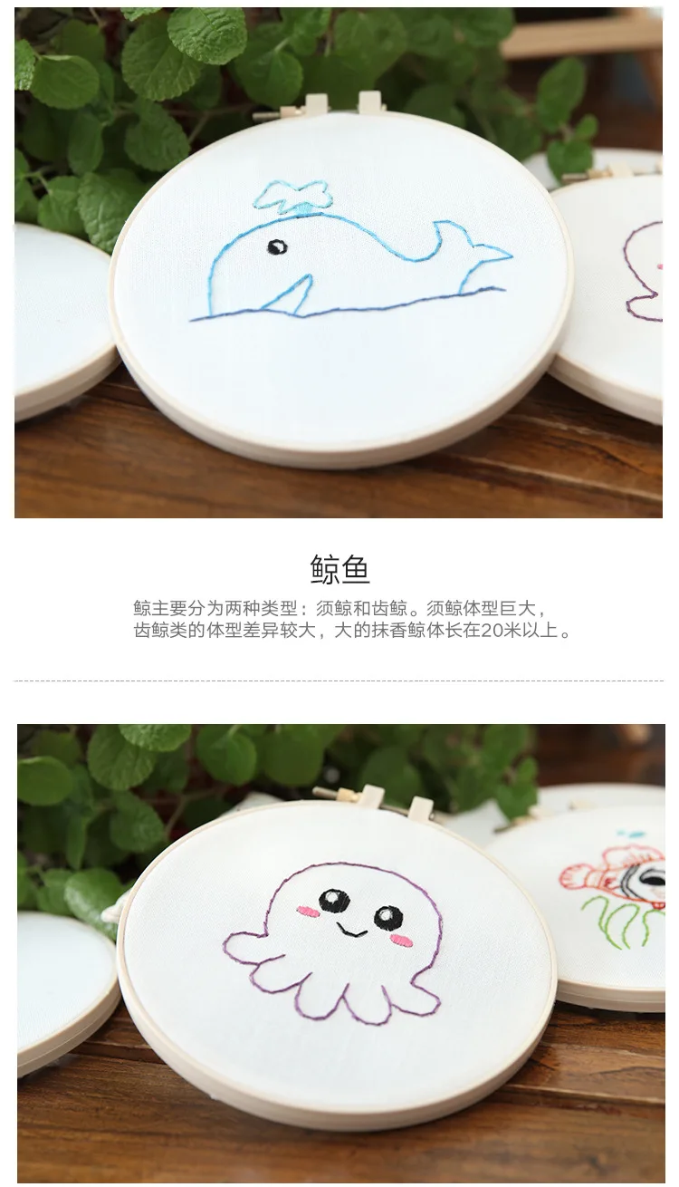 10503486979_2001160281 (1)