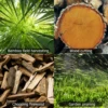 21V 6 Inch Cordless Electric Pruning Saw Wood Spliting Chainsaw Woodworking Garden Orchard Trimming Saw Rechargeable Chain Saw 3