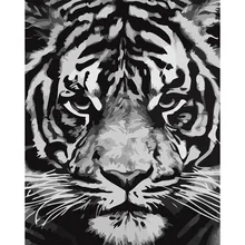 

tapb Black White Tiger DIY Painting By Numbers Adults For Drawing Handpainted On Canvas Coloring By Number Wall Painting Decor