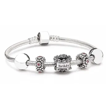 

NEW Book Di 100% 925 Sterling Silver SALE - BIRTHDAY GIFT SET fit DIY Original charm Bracelets jewelry A set of prices