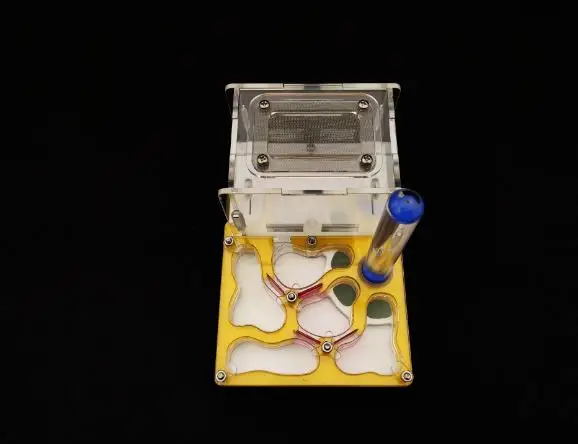 360截图20190904162611630