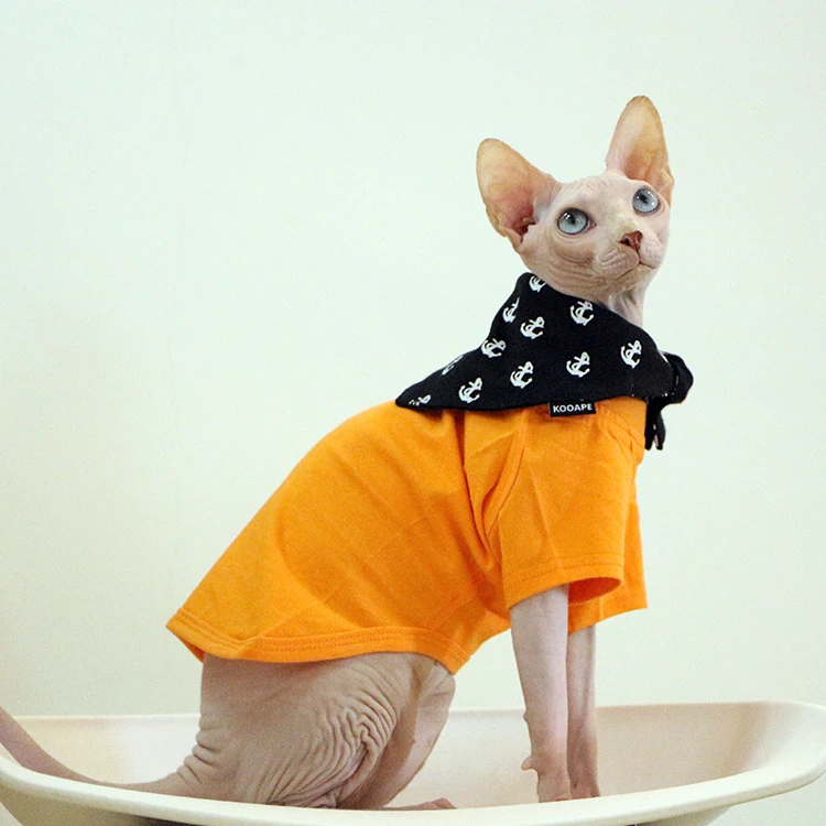 Одежда для кошек - Цвет: Orange with scarf