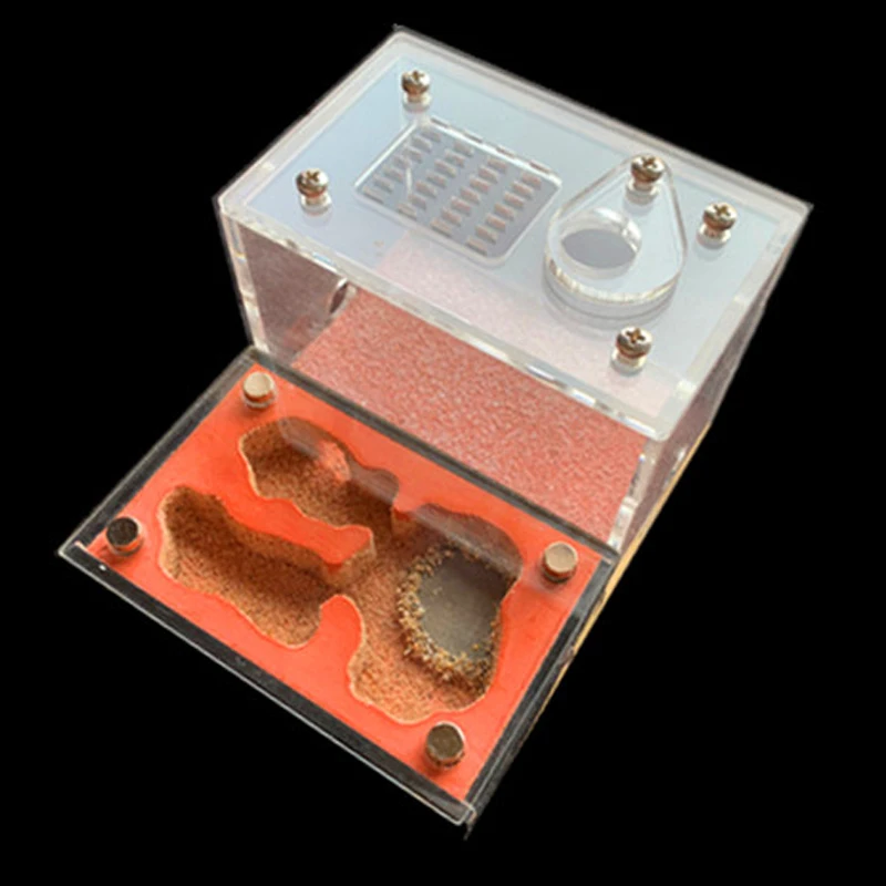 Get This Ant-Farm Ant Nest Ant-House Castle Workshop Pet-Anthill Feeding-Area Acrylic Ecological 73o3MgoYK